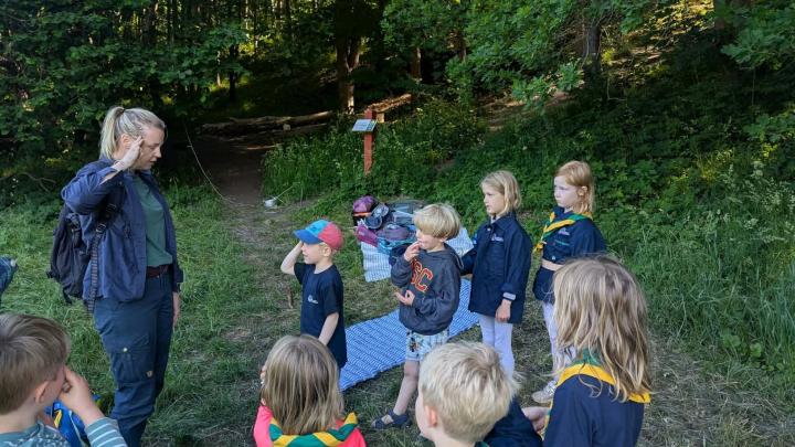 Familiespejdere på sommerlejr 2026